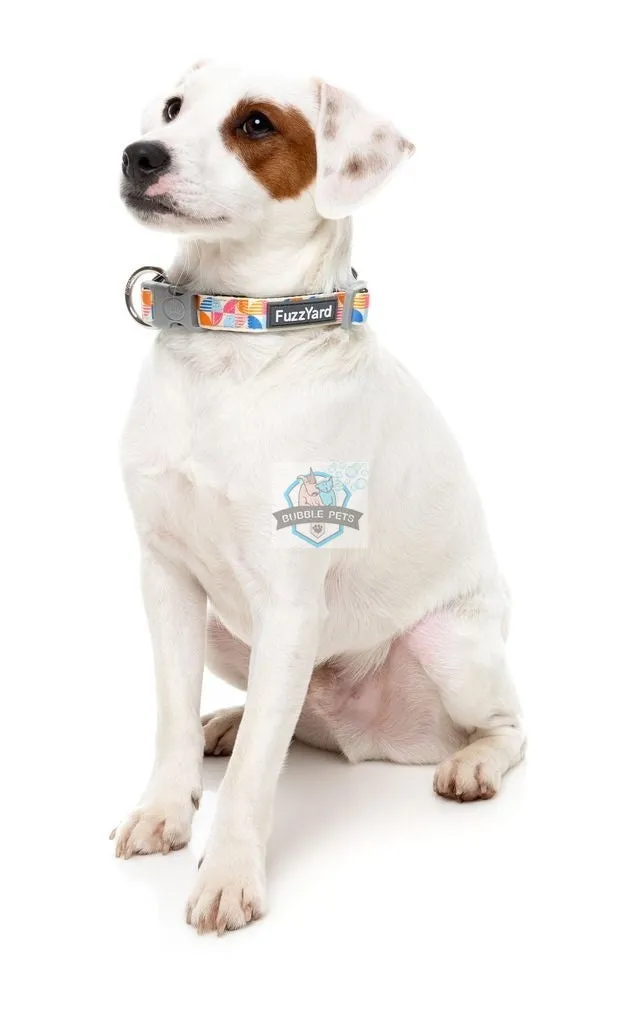 15% OFF FuzzYard Pet Collar - Fresh Zest