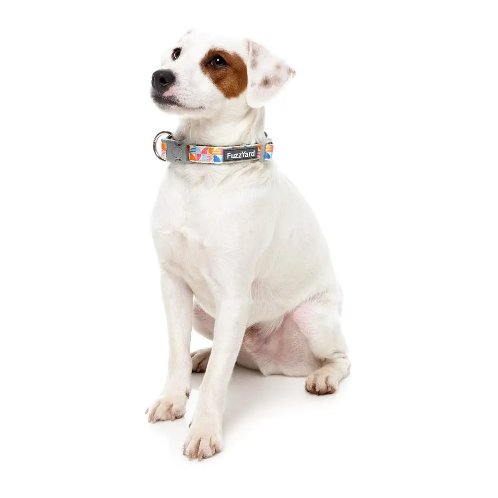 FuzzYard Fresh Zest Dog Collar